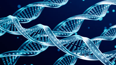 DNA Products